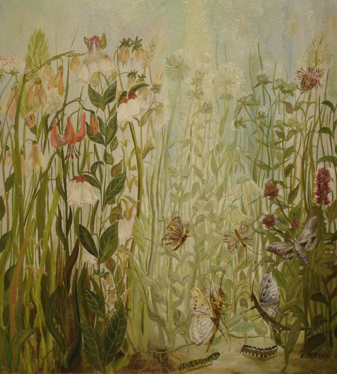 Matrimonio delle farfalle